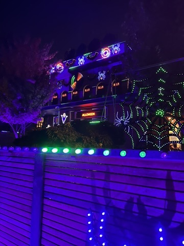 Halloween display in purple and green with a large spider web