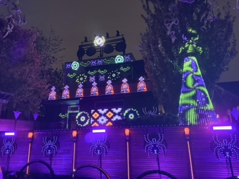 Halloween display in purple with the mega tree lit up